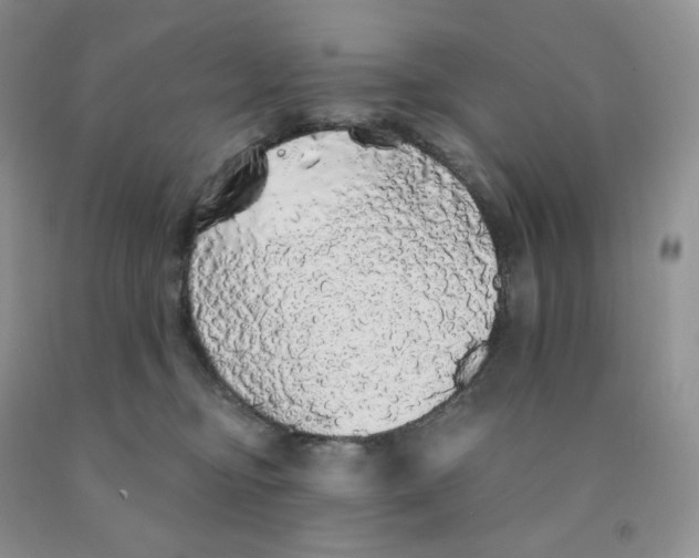 X0000091330374200709071202