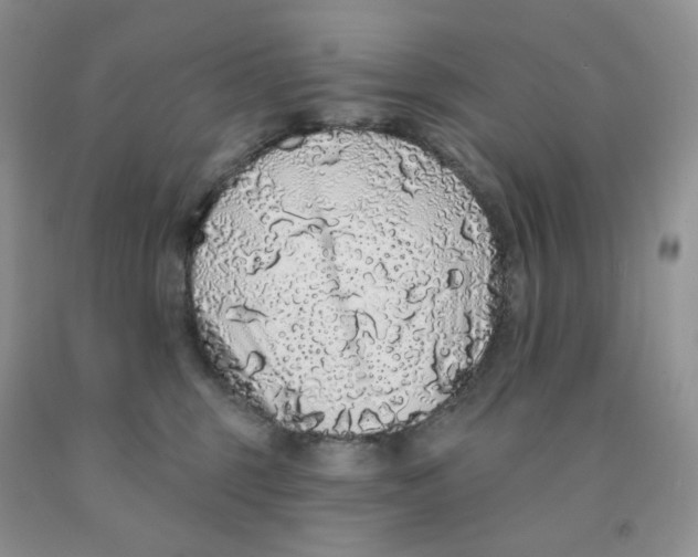 X0000091330375200709071202