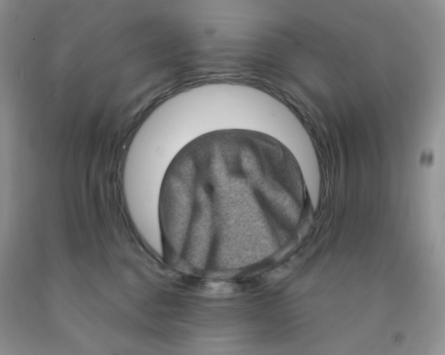 X0000091330376200709071202