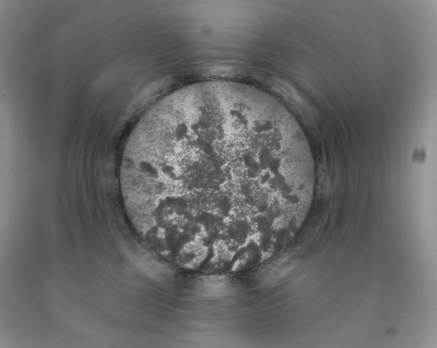 X0000091330377200709071202