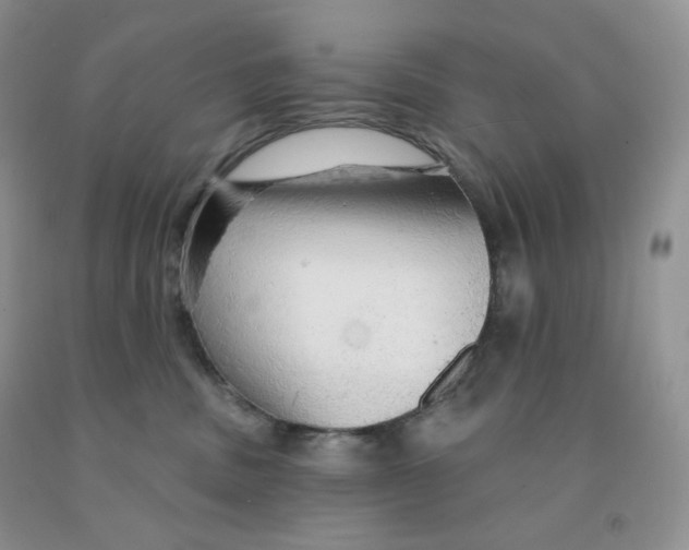 X0000091330379200709071202