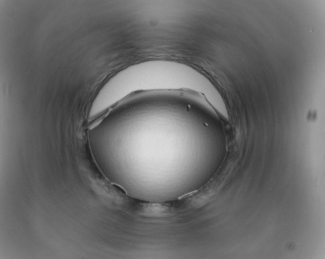 X0000091330380200709071202