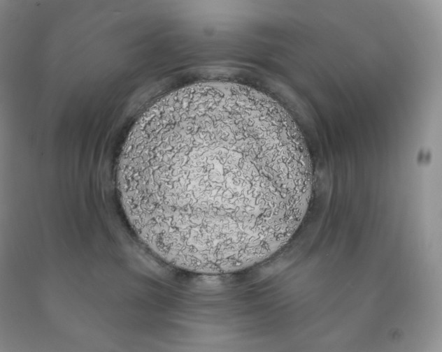 X0000091330381200709071202