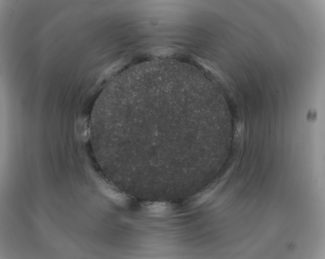 X0000091330383200709071202