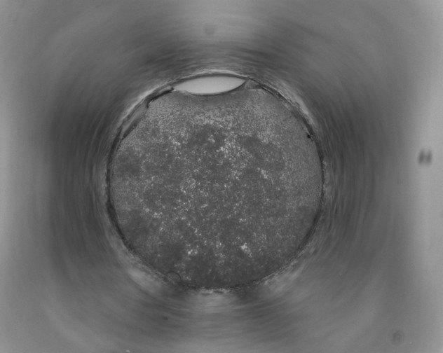 X0000091330386200709071201