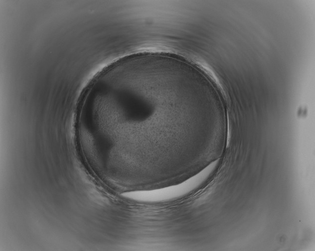 X0000091330387200709071201