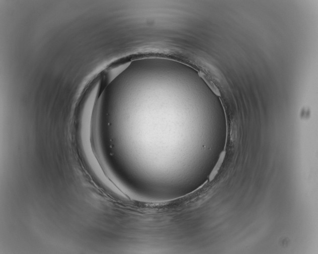 X0000091330388200709071201