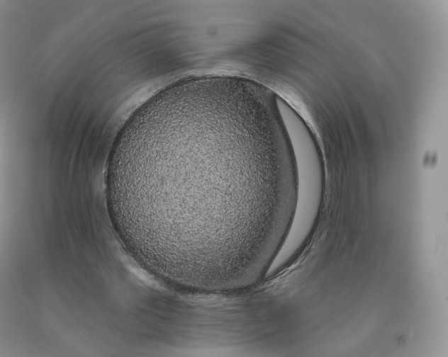 X0000091330389200709071201