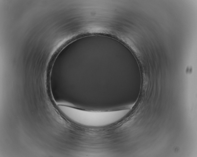 X0000091330391200709071201