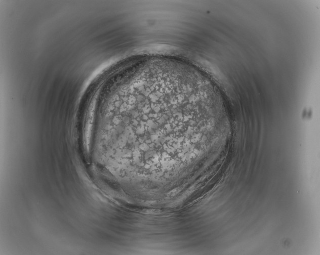 X0000091330392200709071201