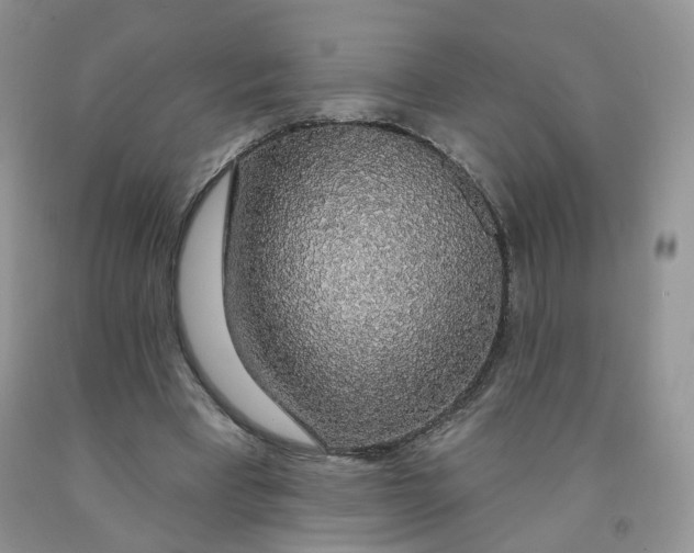 X0000091330393200709071201
