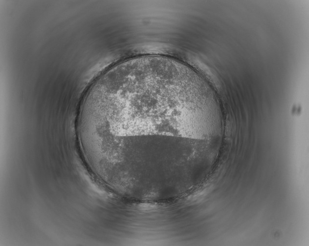 X0000091330394200709071201