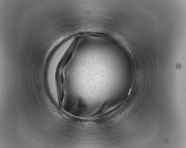 X0000091330395200709071201