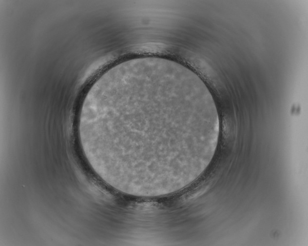 X0000091330396200709071201