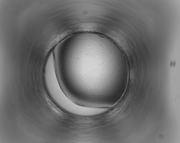 X0000091330397200709071201