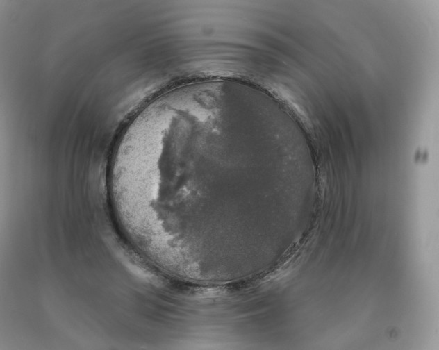 X0000091330398200709071201