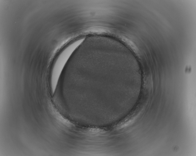 X0000091330399200709071201