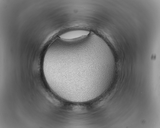 X0000091330400200709071201