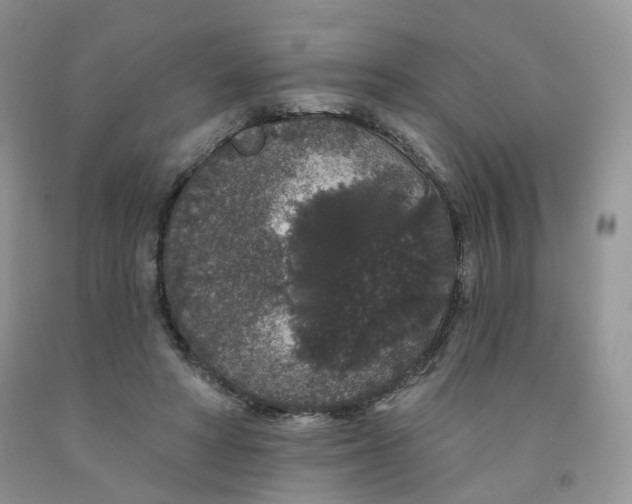 X0000091330402200709071201