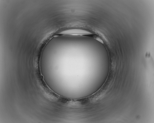 X0000091330403200709071201