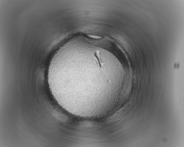X0000091330404200709071201