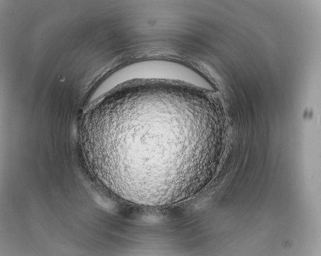 X0000091330405200709071201