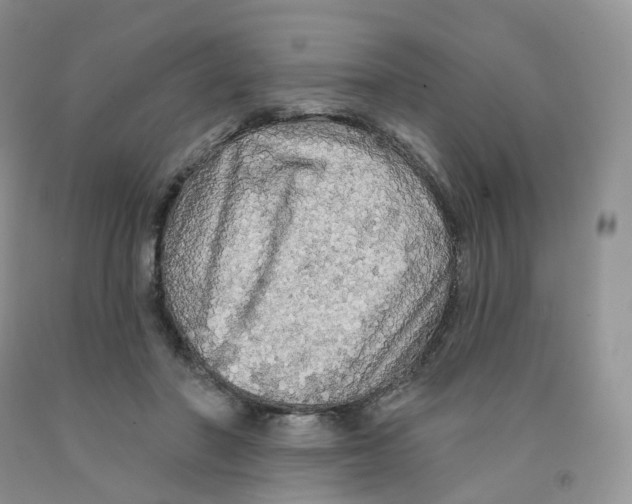 X0000091330406200709071201