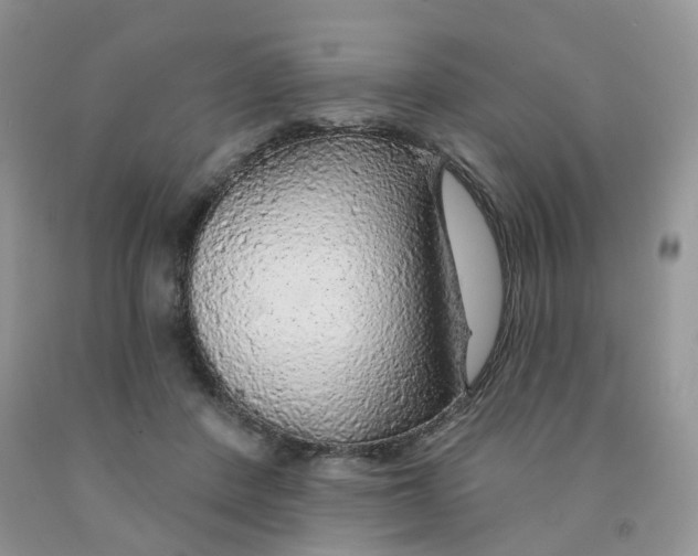 X0000091330408200709071201
