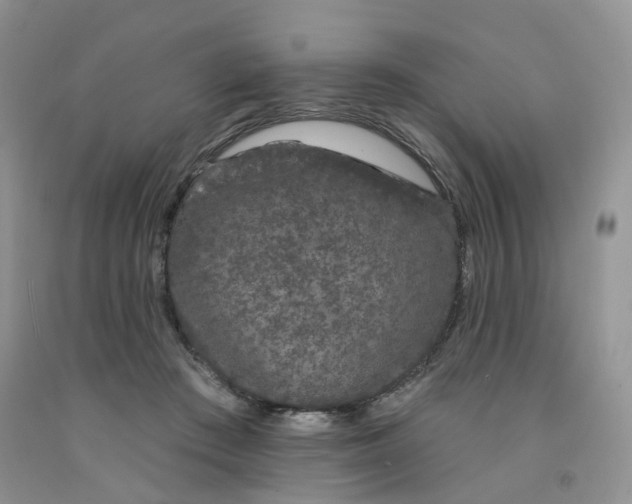 X0000091330409200709071201