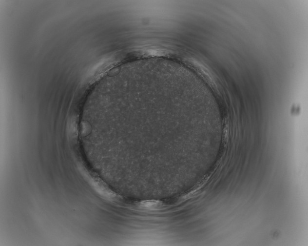 X0000091330410200709071201