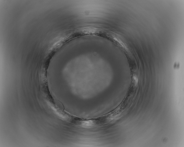 X0000091330411200709071201