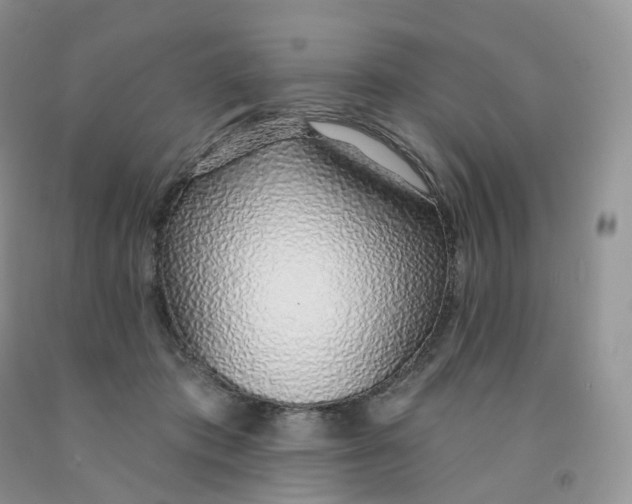 X0000091330413200709071201