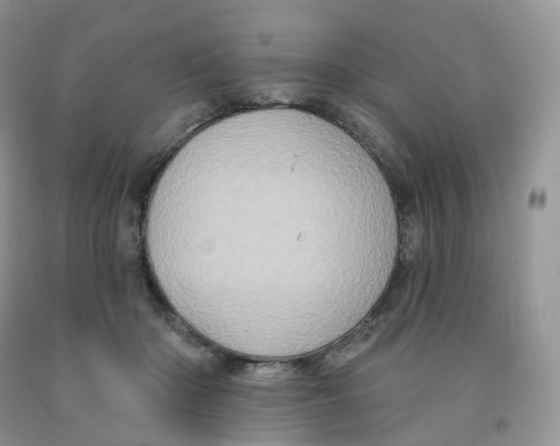 X0000091330414200709071201