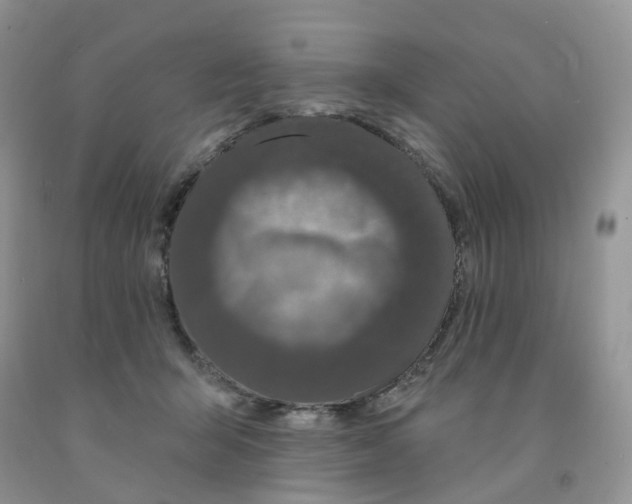 X0000091330415200709071201