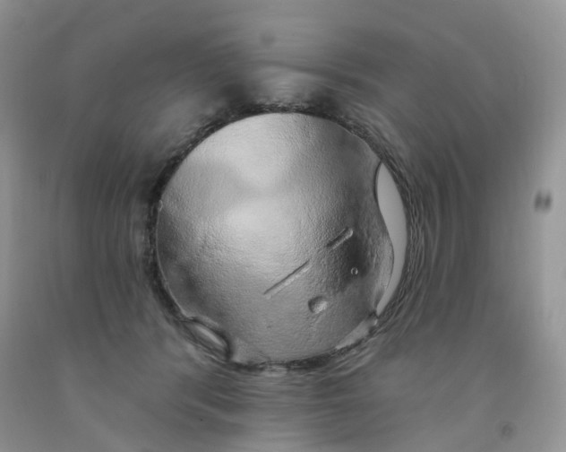 X0000091330416200709071201