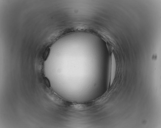 X0000091330417200709071201