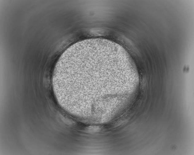 X0000091330418200709071201