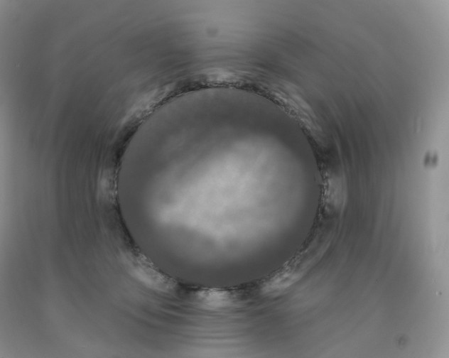 X0000091330419200709071201