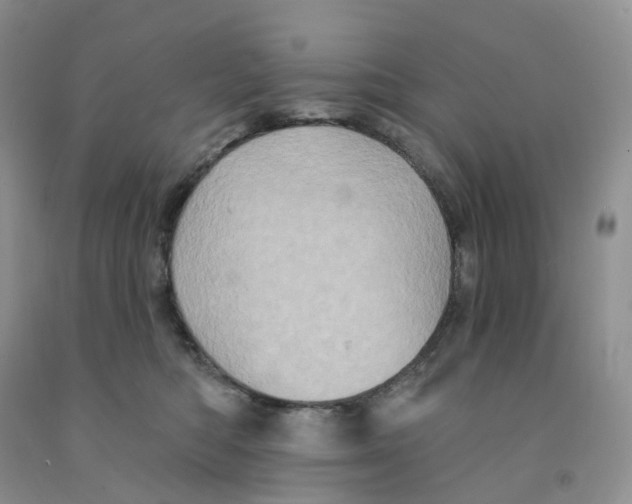 X0000091330422200709071201