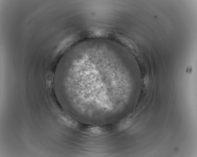 X0000091330423200709071201