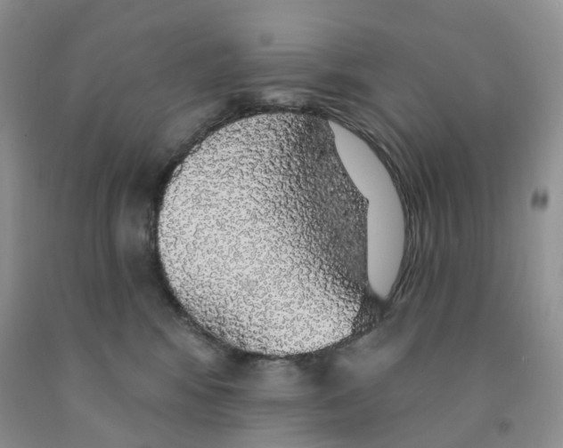 X0000091330424200709071201