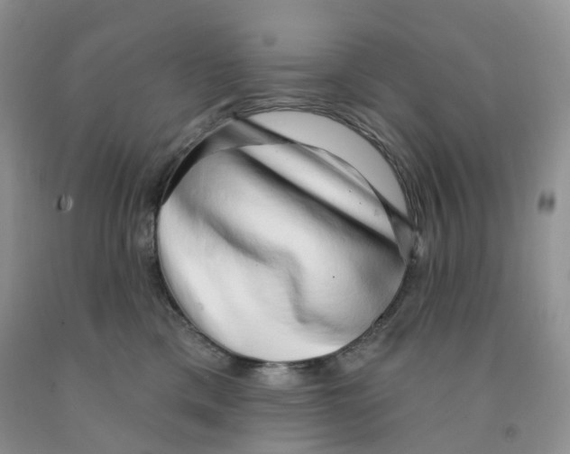 X0000091330425200709071201