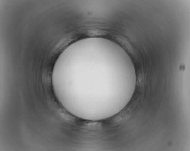 X0000091330426200709071201
