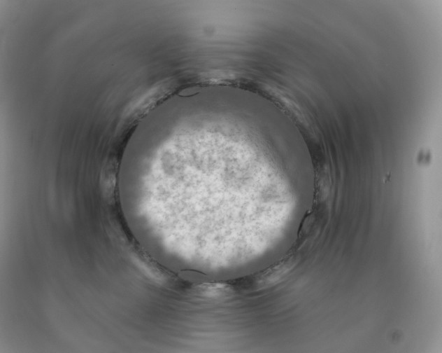X0000091330427200709071201