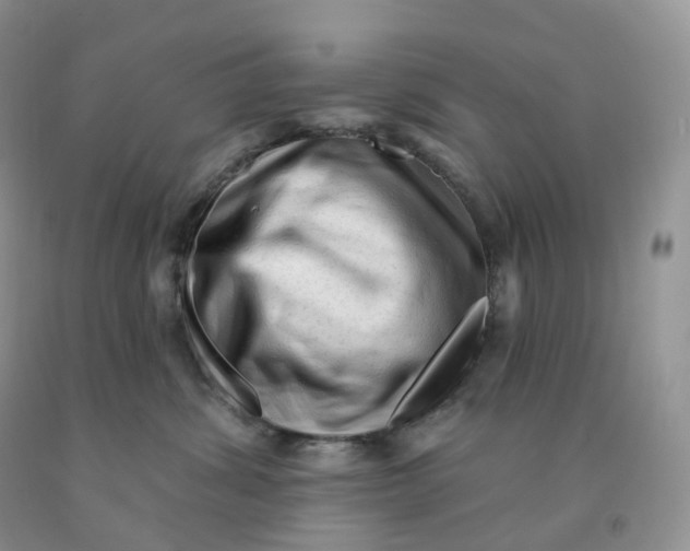 X0000091330428200709071201