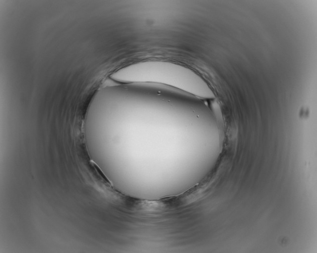 X0000091330429200709071201