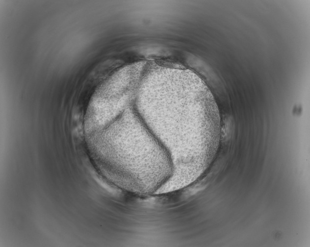 X0000091330430200709071201