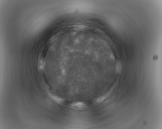 X0000091330431200709071201