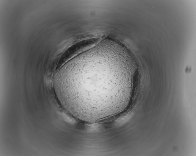 X0000091330432200709071201