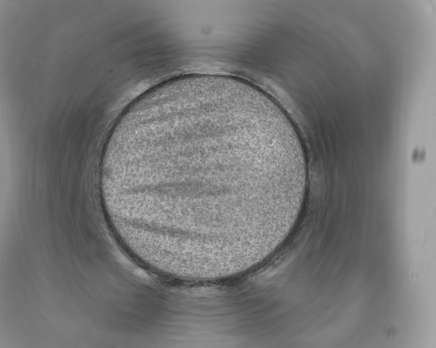 X0000091330433200709071200